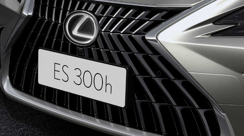 ES 300h