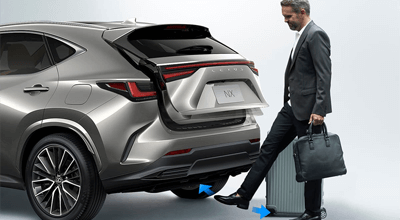 NX 350h Luxury 